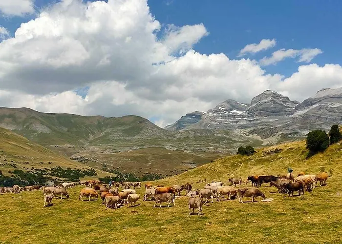 Hotel La Fuen Bielsa